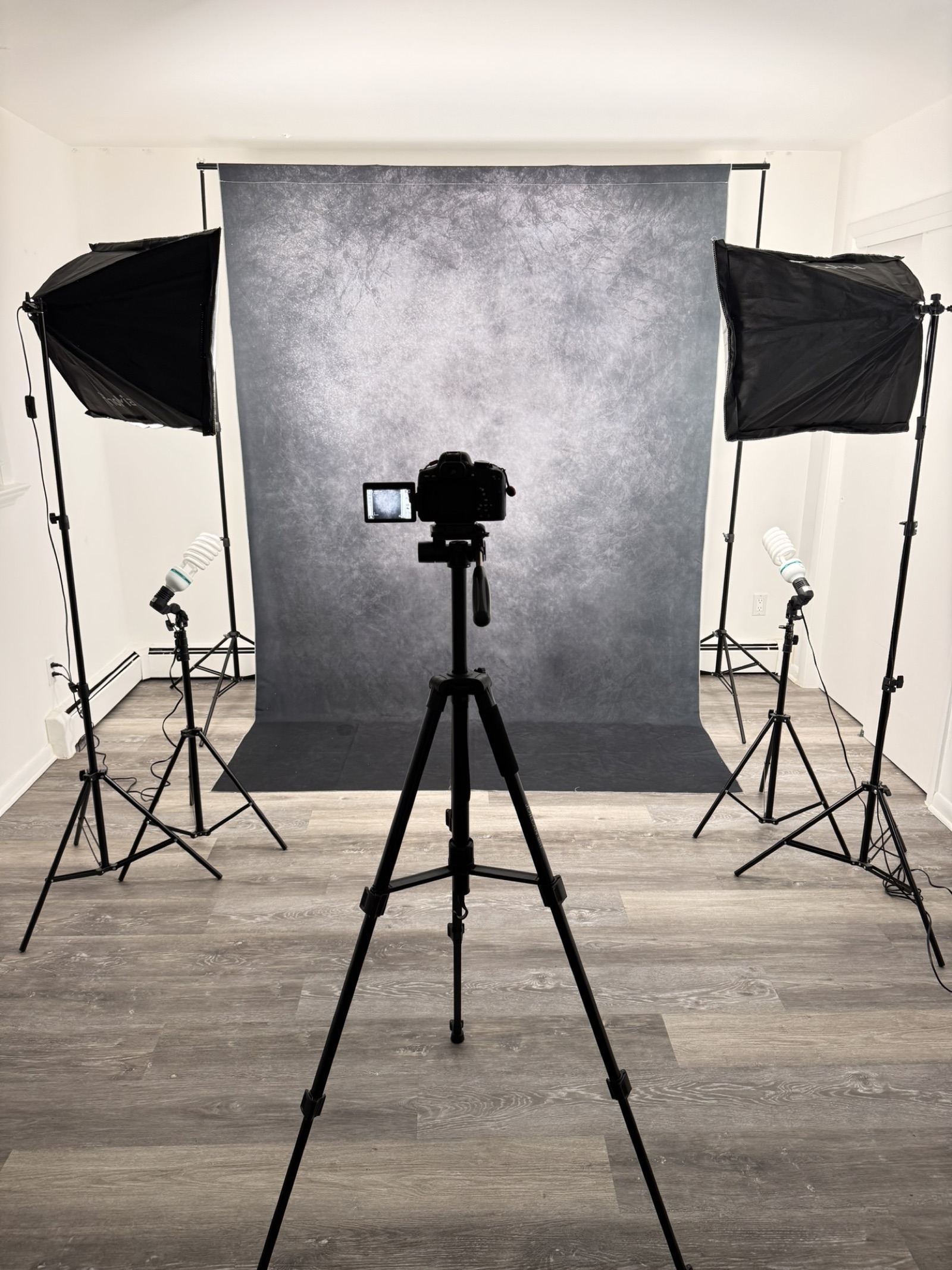 Studio setup with professional lighting equipment and black gradient backdrop